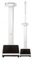 Timbangan SECA Digital Column Scale Seca 769 & Measuring Rod Seca 220 with power